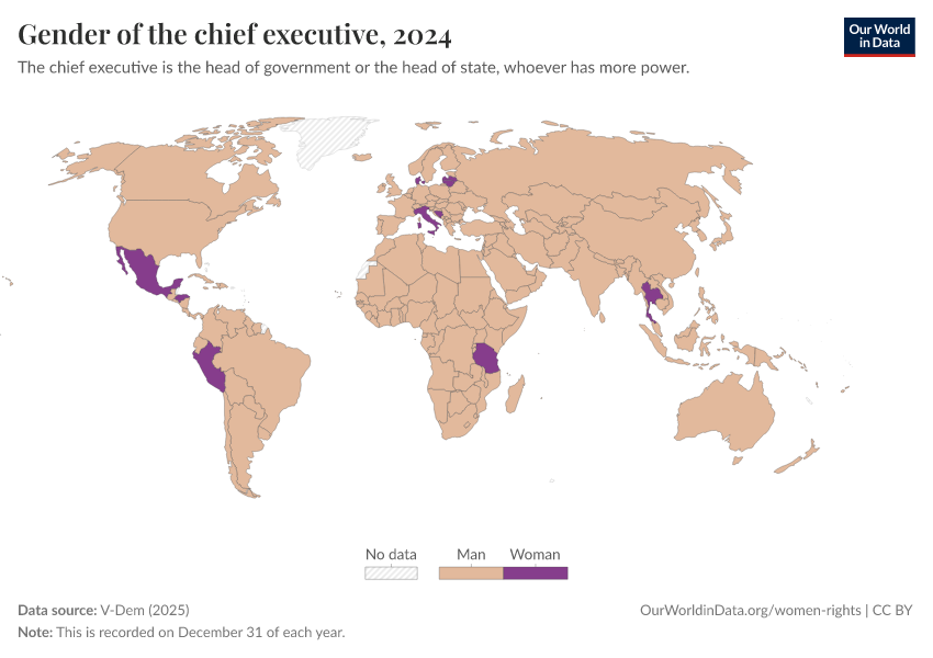 A thumbnail of the "Gender of the chief executive" chart